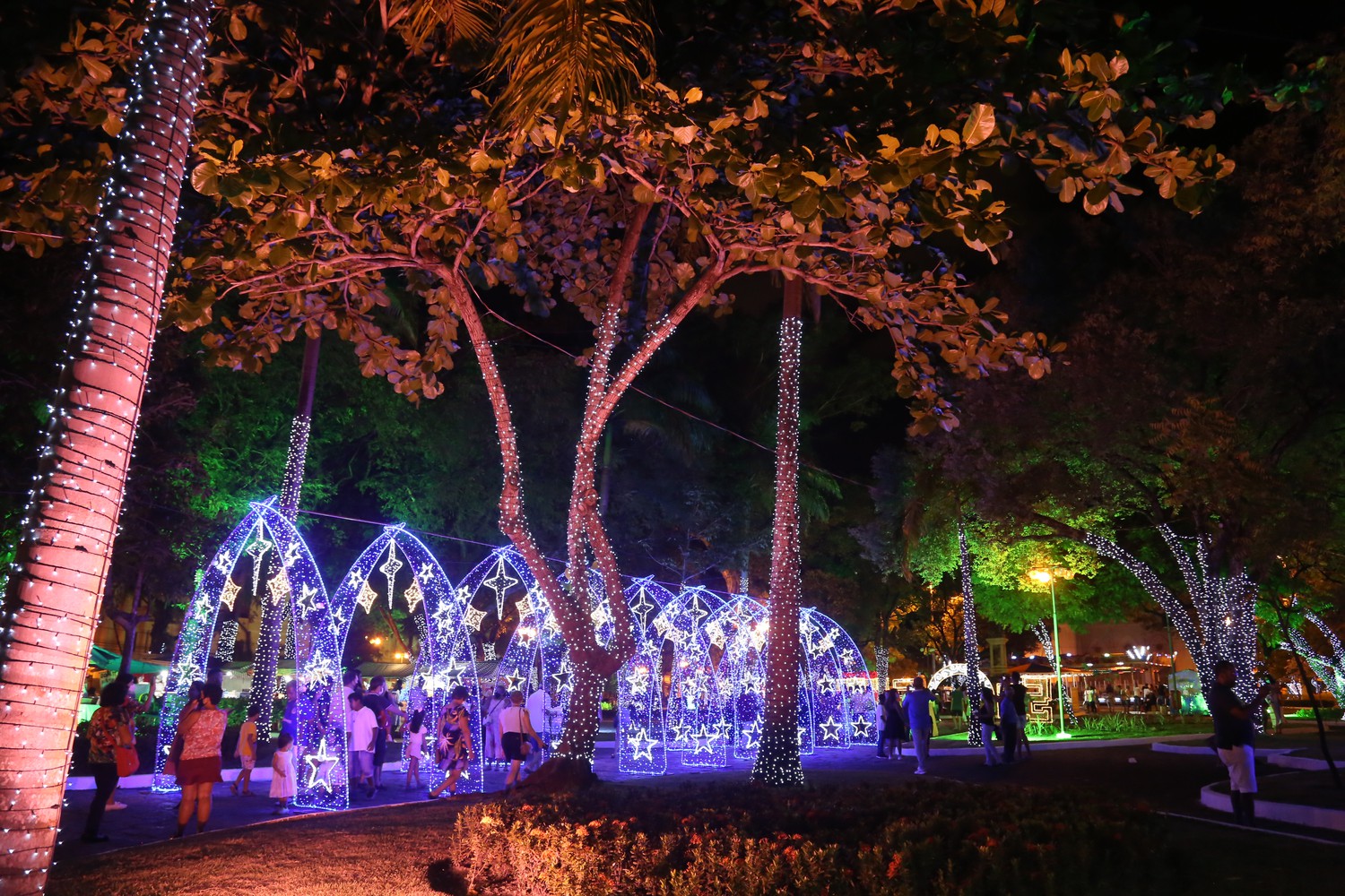 Natal Iluminado de Aracaju recebe atrações gratuitas neste final de semana; confira a programação