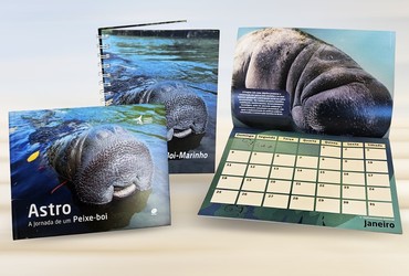 Shopping de Aracaju e Fundação Mamíferos Aquáticos promovem a campanha ‘Troque Garrafas Pet por Kits Papelaria’