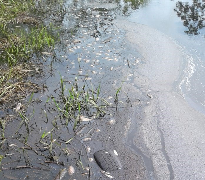 Morador denuncia suposto crime ambiental na Barra dos Coqueiros