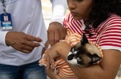 2ª dia de vacinação antirrábica gratuita para cães e gatos acontece neste domingo (17), em Aracaju