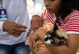 2ª dia de vacinação antirrábica gratuita para cães e gatos acontece neste domingo (17), em Aracaju