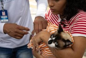 Prefeitura realiza 2ª dia de vacinação antirrábica gratuita para cães e gatos no RioMar Aracaju