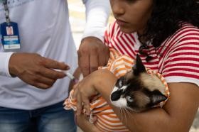 2ª dia de vacinação antirrábica gratuita para cães e gatos acontece neste domingo (17), em Aracaju
