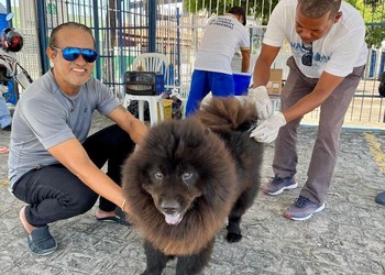 Campanha de vacinação antirrábica para cães e gatos começa em Aracaju no dia 6 de outubro