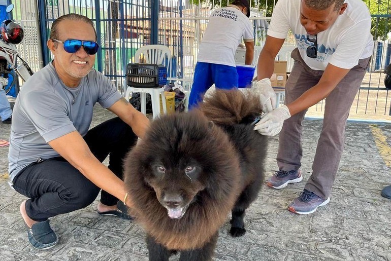 Campanha de vacinação antirrábica para cães e gatos começa em Aracaju no dia 6 de outubro