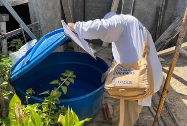 Infestação do mosquito da dengue cresce em Aracaju e bairros entram em alerta