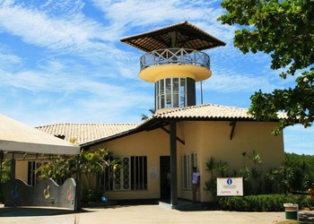 Estácio Participa de Doação de Mudas com Foco em Saúde Única