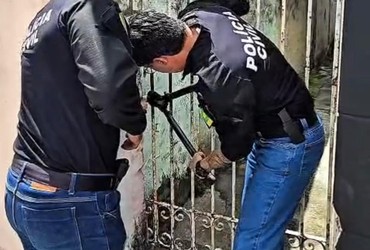 Cadela e cinco filhotes são resgatados após abandono no bairro Olaria, em Aracaju