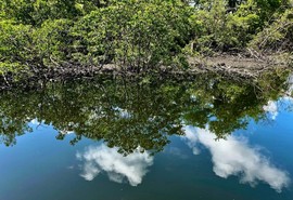 Fiscalização aponta irregularidades ambientais em imóveis no Parque Tramandaí