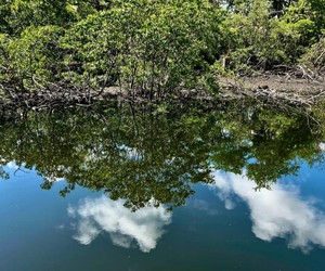 Fiscalização aponta irregularidades ambientais em imóveis no Parque Tramandaí