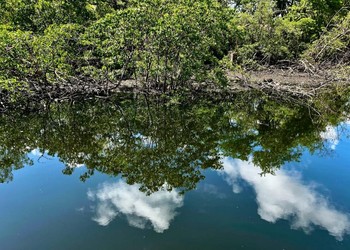 Fiscalização aponta irregularidades ambientais em imóveis no Parque Tramandaí