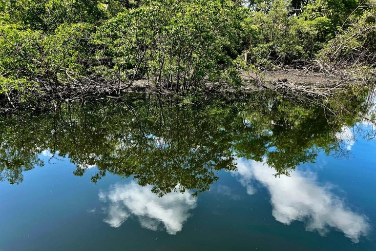 Fiscalização aponta irregularidades ambientais em imóveis no Parque Tramandaí