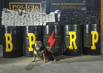 Mais de 200 kg de maconha e 708g de cocaína são apreendidos em operação em Nossa Senhora do Socorro
