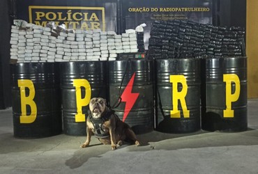 Mais de 200 kg de maconha e 708g de cocaína são apreendidos em operação em Nossa Senhora do Socorro