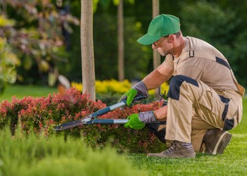 Jardineiro, eletricista e atendente estão entre as vagas divulgadas em Aracaju; confira