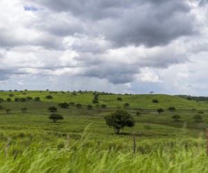 Alerta de chuva é renovado em Sergipe com previsão de acumulados elevados