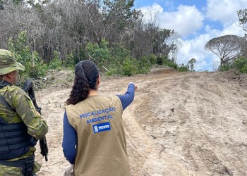 Adema autua 34 imóveis por desmatamento ilegal em Sergipe