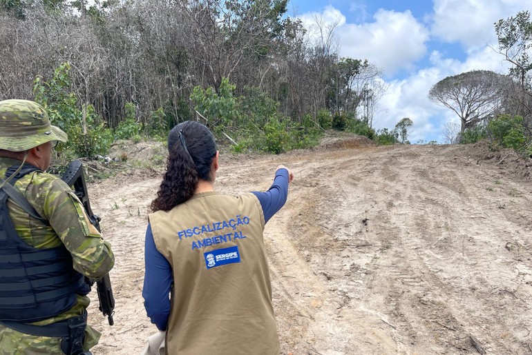 Adema autua 34 imóveis por desmatamento ilegal em Sergipe
