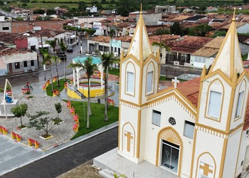 Ataque de abelhas na zona rural de Graccho Cardoso deixa vítimas com quadro alérgico grave