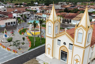 Ataque de abelhas na zona rural de Graccho Cardoso deixa vítimas com quadro alérgico grave