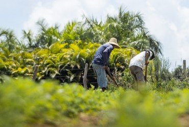 Garantia Safra começa a ser pago para agricultores de 14 municípios de Sergipe