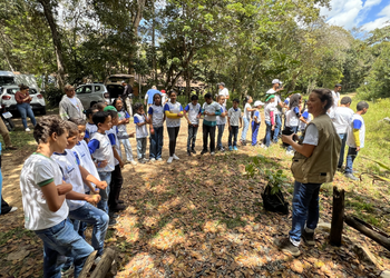 Sergipe abre inscrições para Comissão de Educação Ambiental