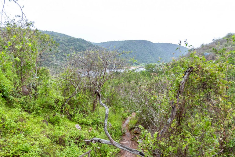 Índice de seca diminui em Sergipe durante junho, aponta Semac