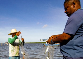 Inscrições para o 'Mão Amiga Pesca Artesanal' estão abertas; saiba mais