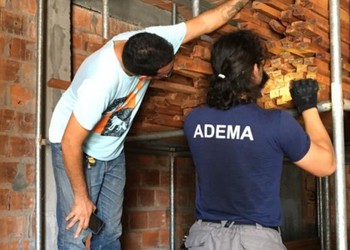 Prazo para migração entre sistemas do DOF é prorrogado até 30 de junho