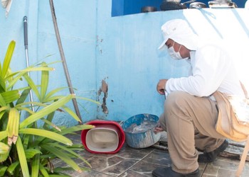 Itabaiana e Simão Dias lideram índice de infestação do Aedes aegypti em Sergipe