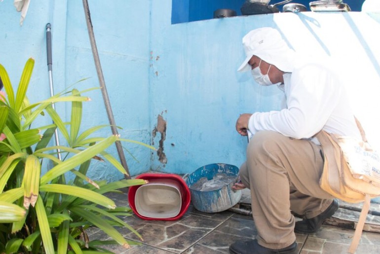 Itabaiana e Simão Dias lideram índice de infestação do Aedes aegypti em Sergipe
